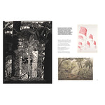 SLOW LOOKING THE ART OF NATURE