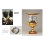 SLOW LOOKING THE ART OF NATURE