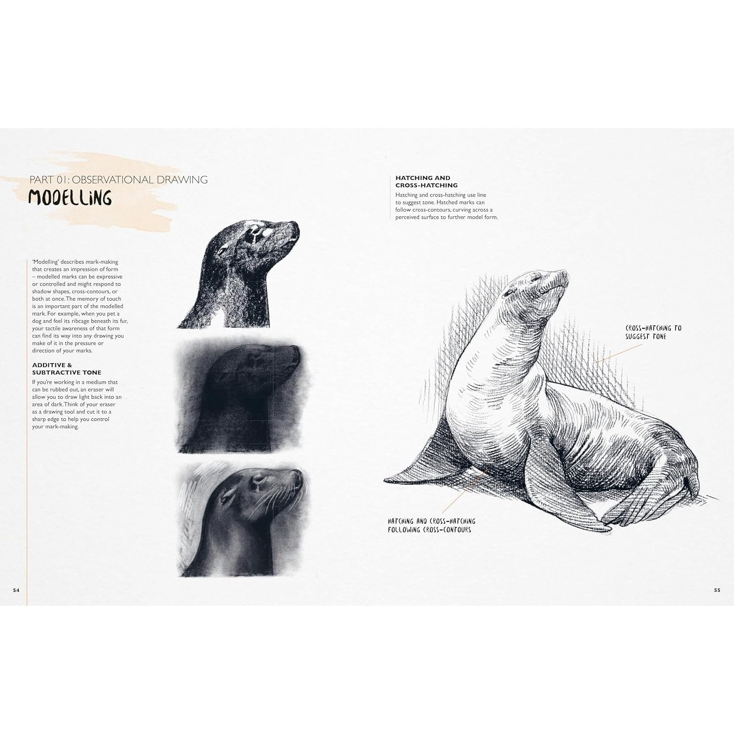 YOU WILL BE ABLE TO DRAW ANIMALS