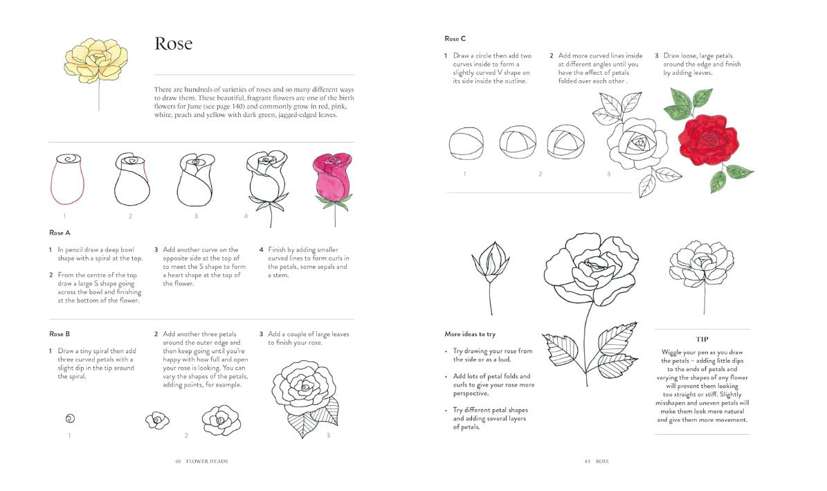 Product image for B9781781579206