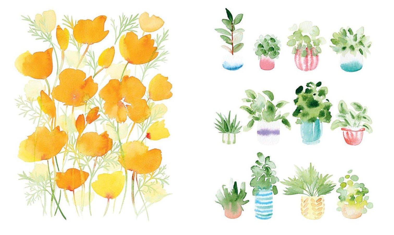 Product image for B9781781579725