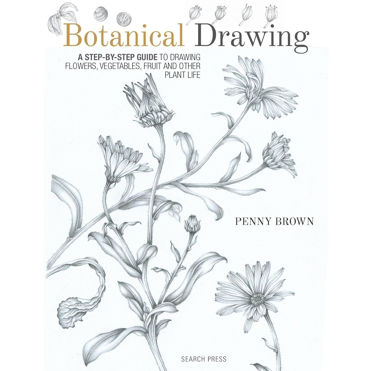 BOTANICAL DRAWING