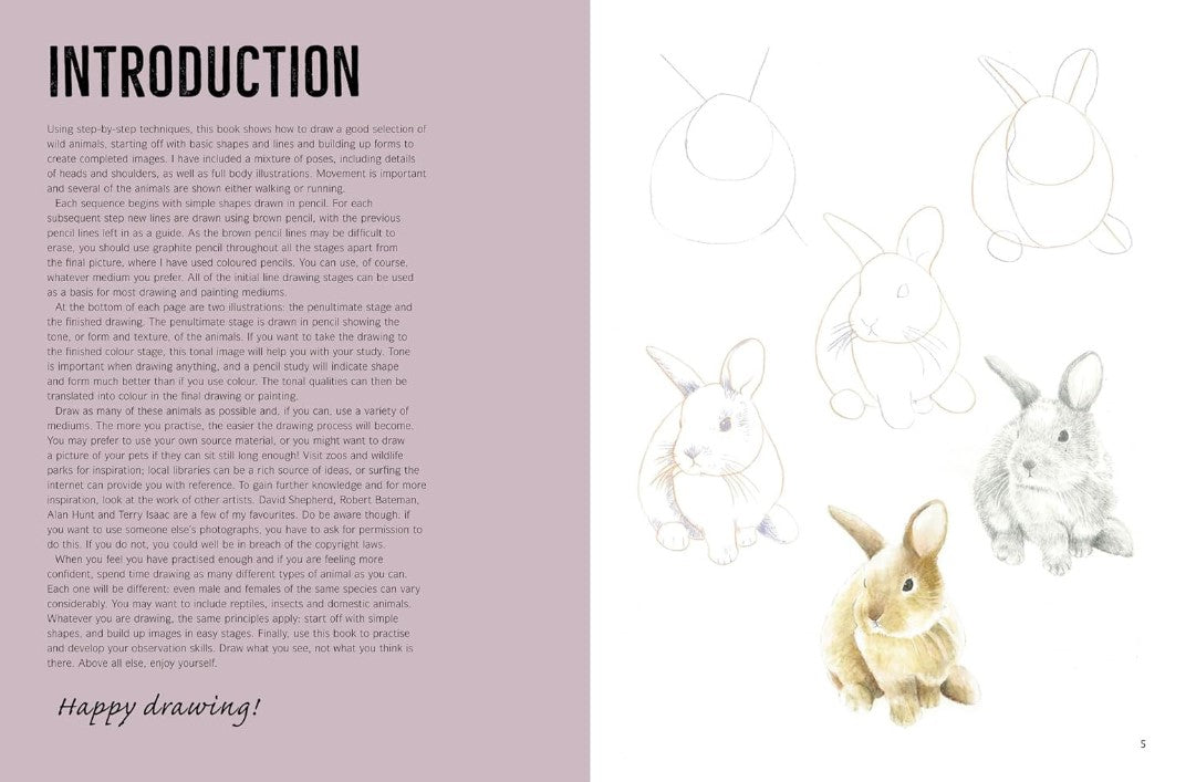 Product image for B9781782216254