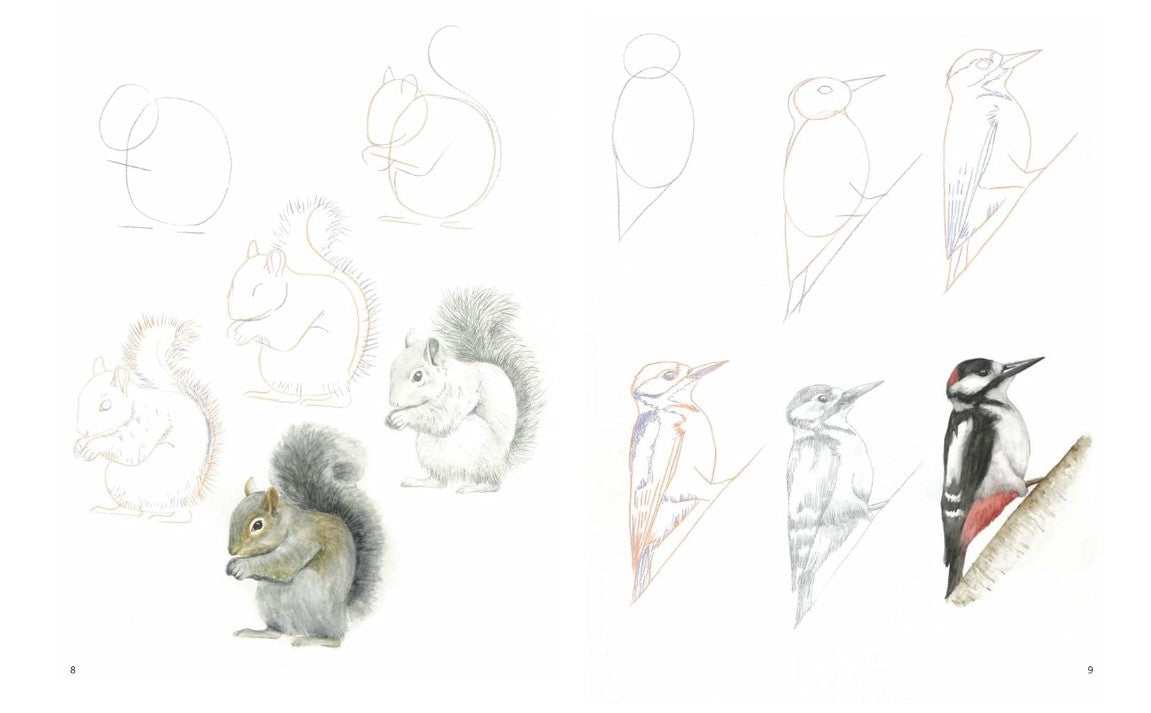 Product image for B9781782216254