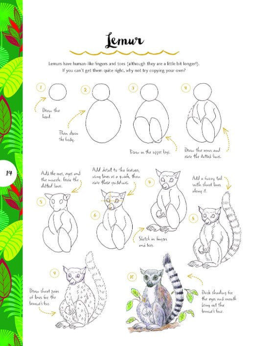 Product image for B9781782216605