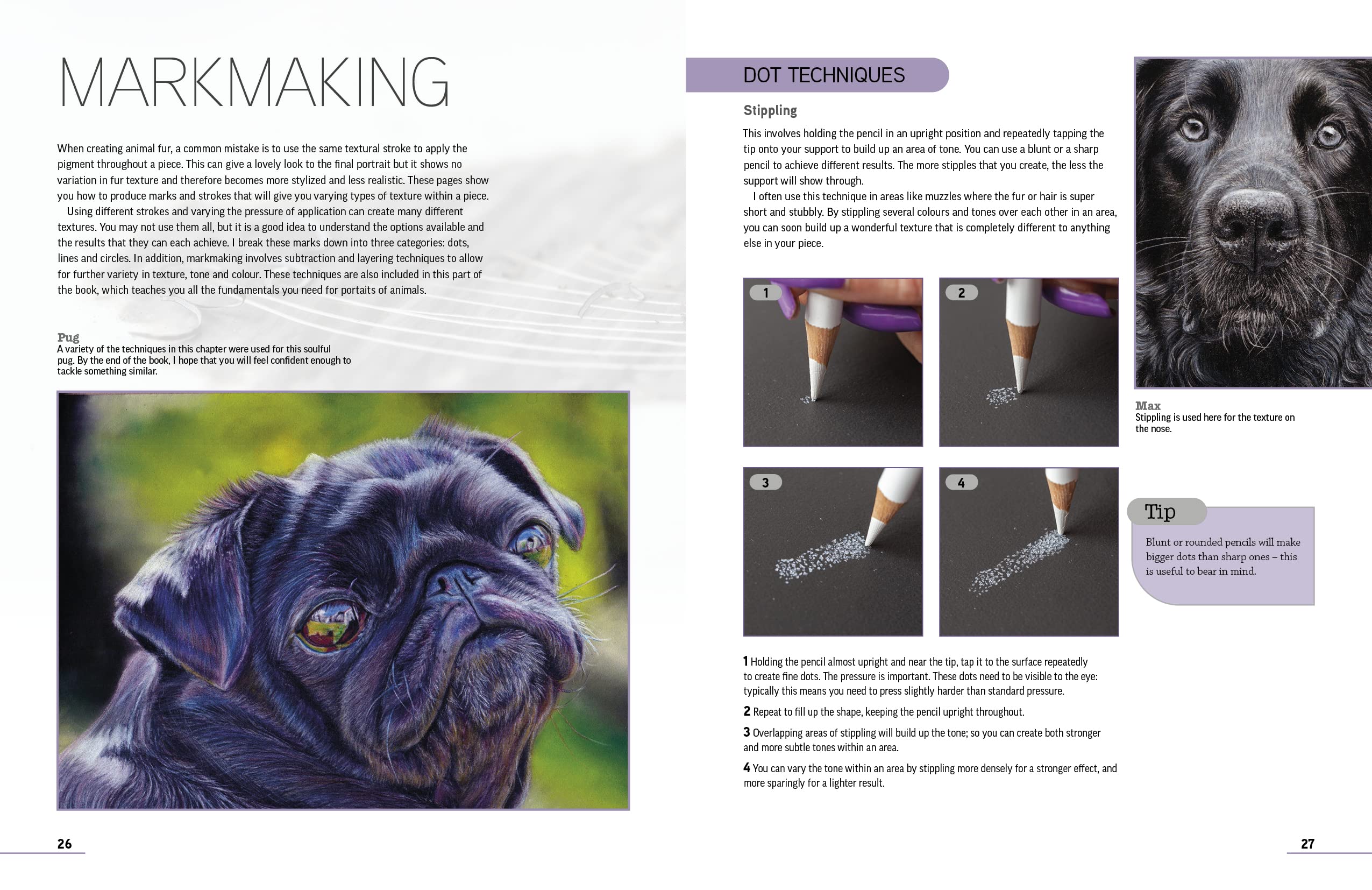 Product image for B9781782218630