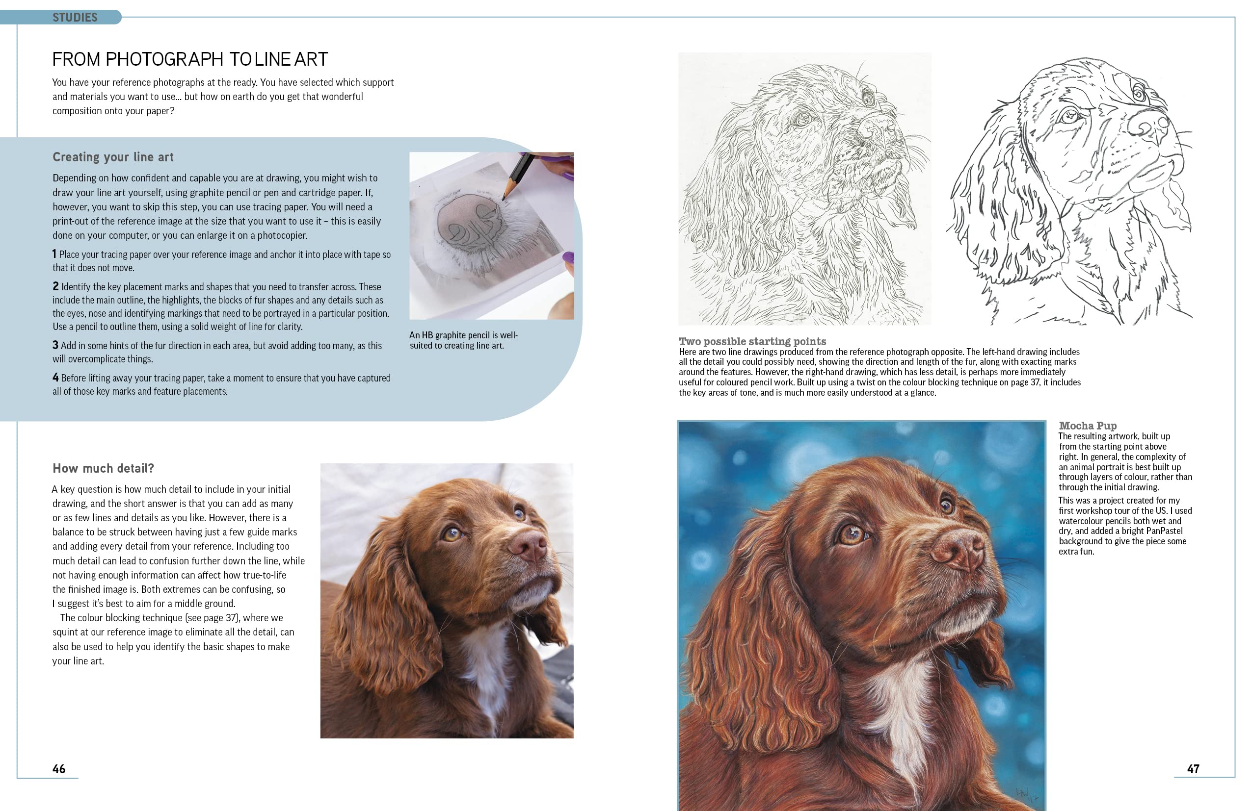 Product image for B9781782218630