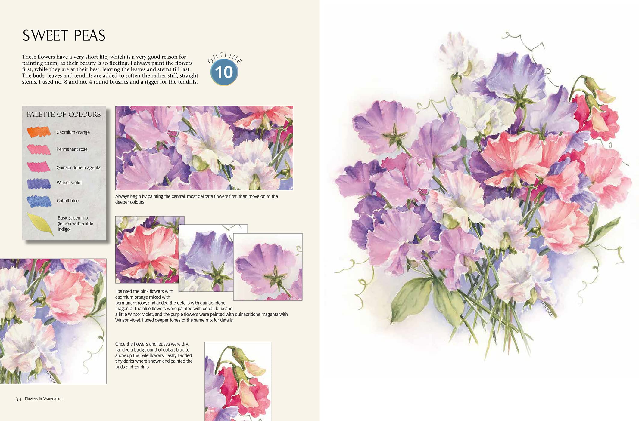 WATERCOLOUR SOURCEBOOK TRANSFER AND PAINT