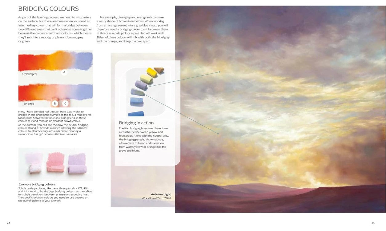 Product image for B9781782219897