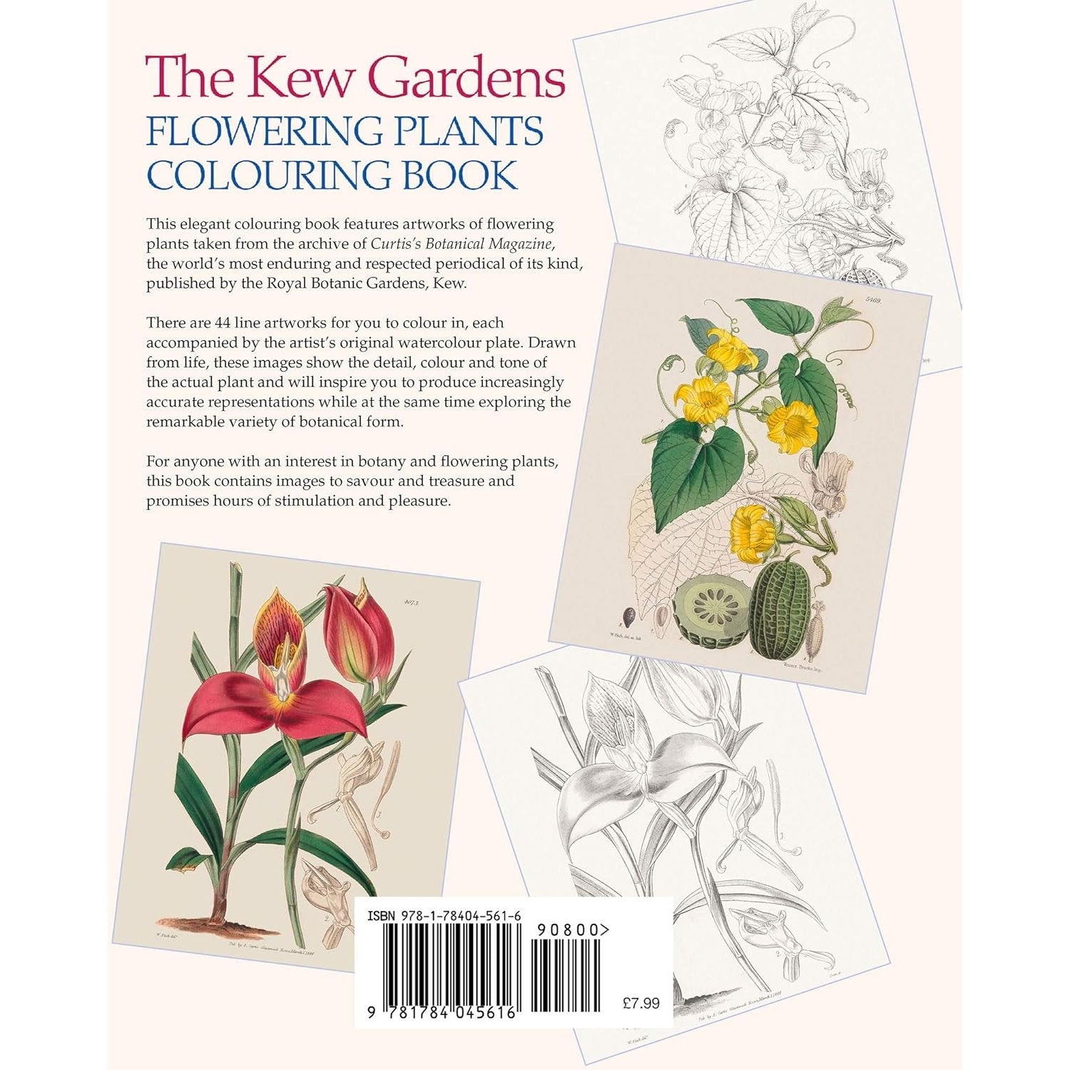 THE KEW GARDENS FLOWERING PLANTS COLOURING BOOK