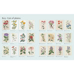 THE KEW GARDENS FLOWERING PLANTS COLOURING BOOK