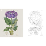 THE KEW GARDENS FLOWERING PLANTS COLOURING BOOK