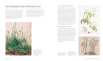 RHS WATERCOLOUR BOTANICAL ART: A PRACTICAL GUIDE FOR ARTISTS