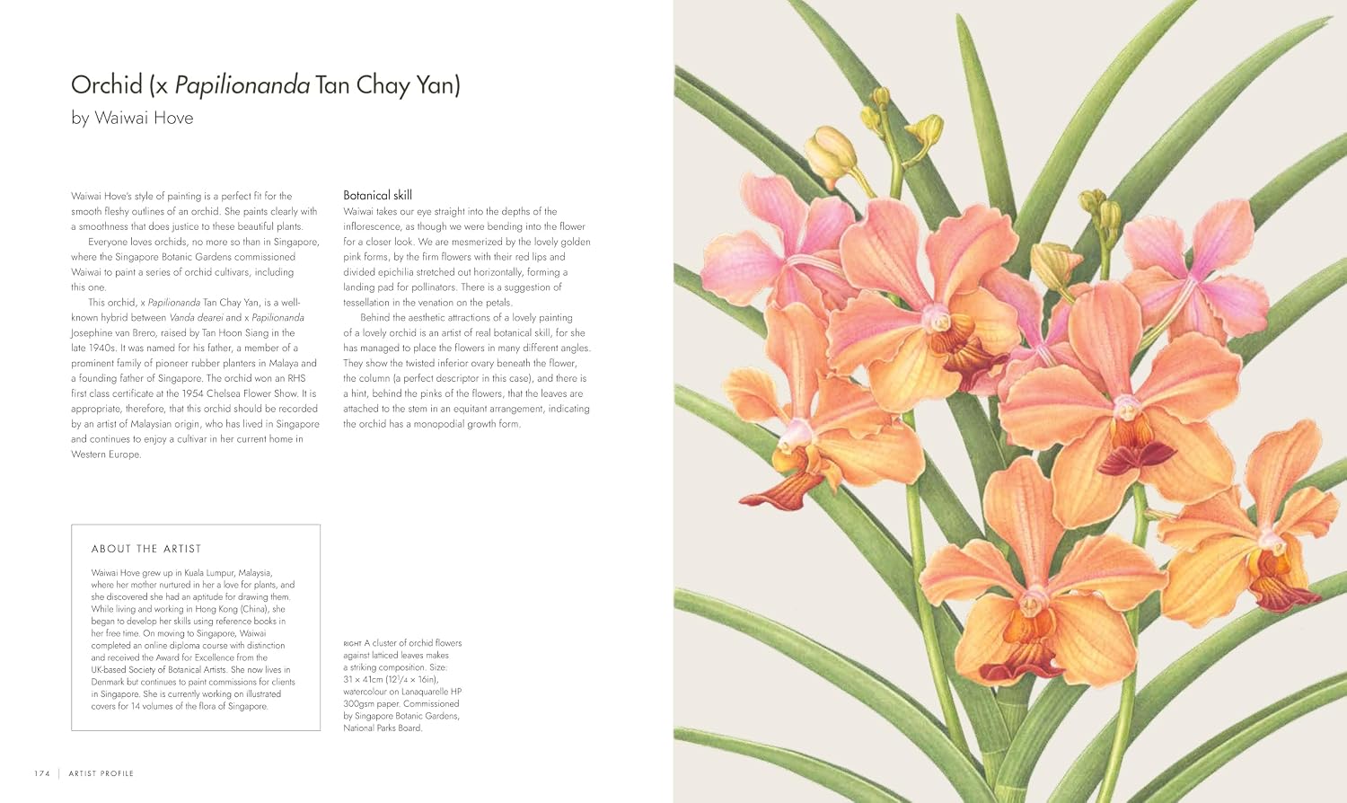 RHS WATERCOLOUR BOTANICAL ART: A PRACTICAL GUIDE FOR ARTISTS