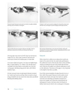 Product image for B9781785000478