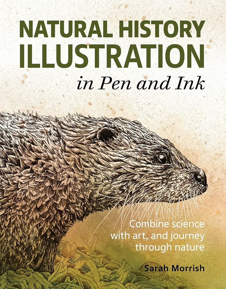 NATURAL HISTORY ILLUSTRATION IN PEN AND INK
