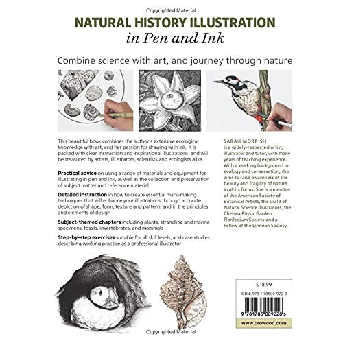 NATURAL HISTORY ILLUSTRATION IN PEN AND INK