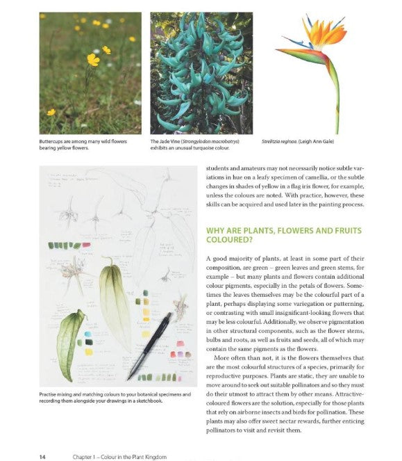 Product image for B9781785009396