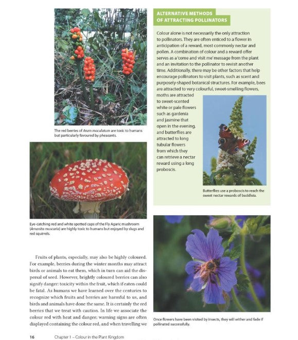 Product image for B9781785009396