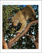 Product image for B9781788842204