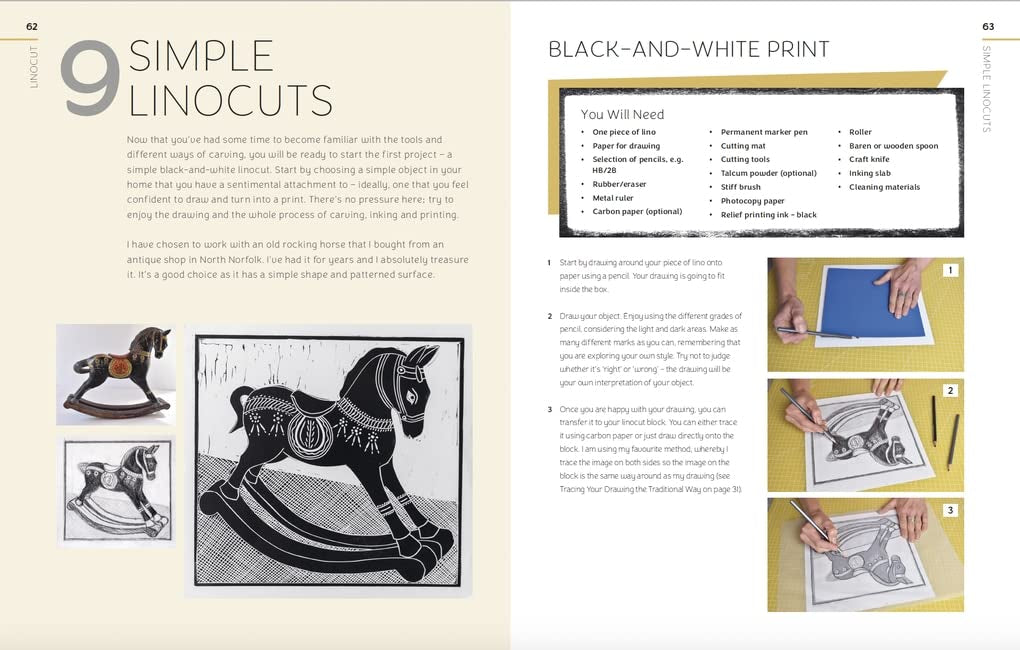 Product image for B9781789940701