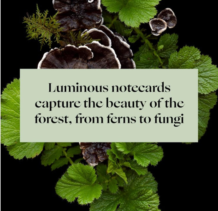 DEEP DARK FOREST NOTECARDS AND ENVELOPES