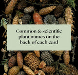 Product image for B9781797221909