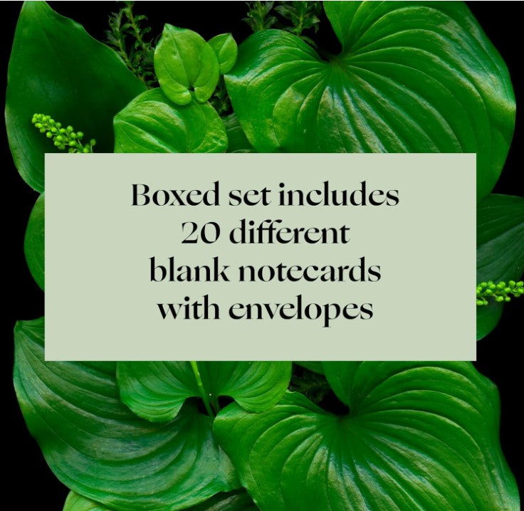 DEEP DARK FOREST NOTECARDS AND ENVELOPES