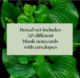 Product image for B9781797221909