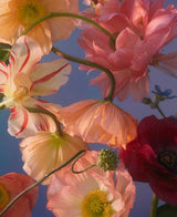 Product image for B9781797229492