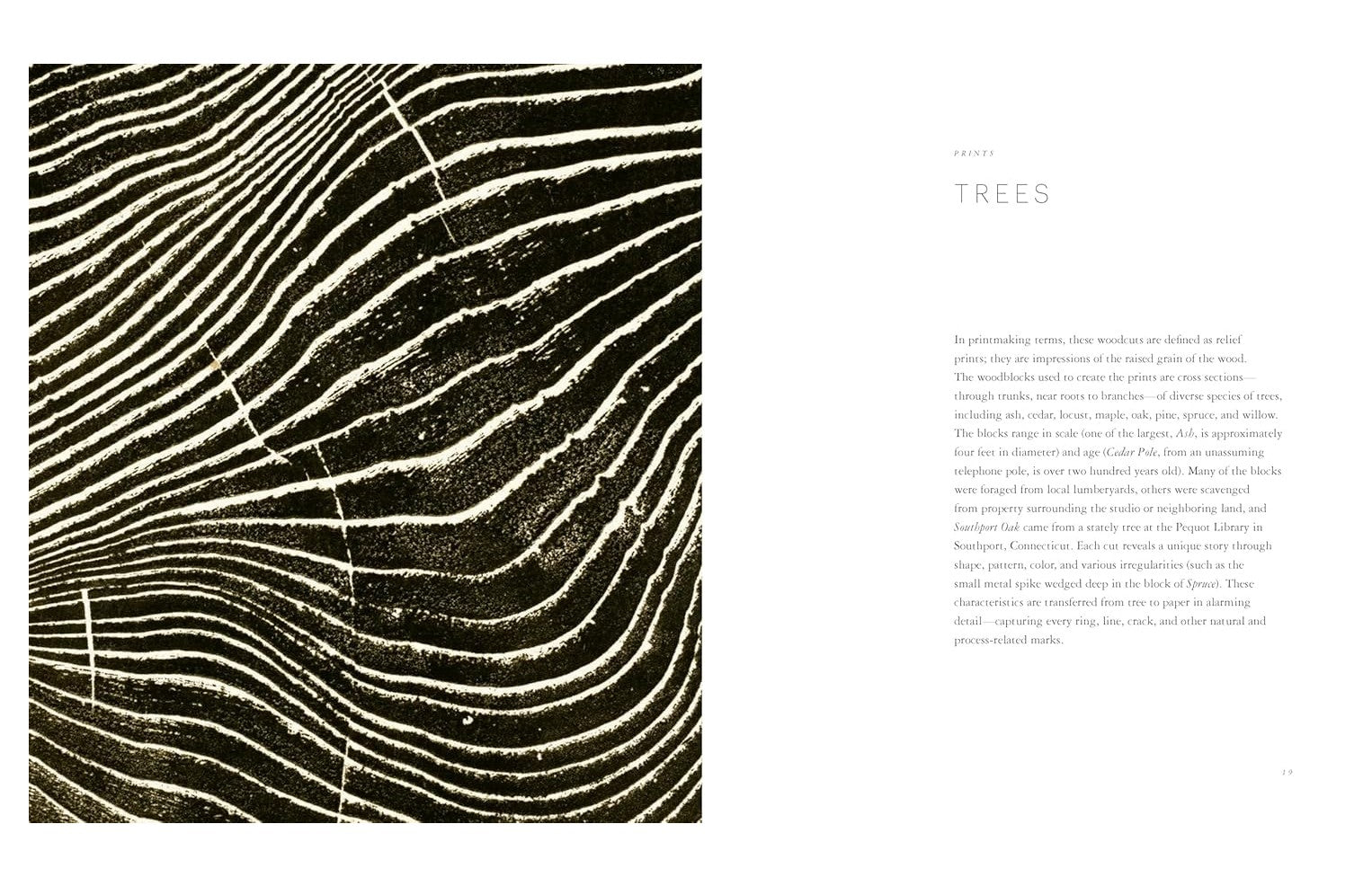 Product image for B9781797232683