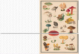 THE COLLAGE COMPENDIUM