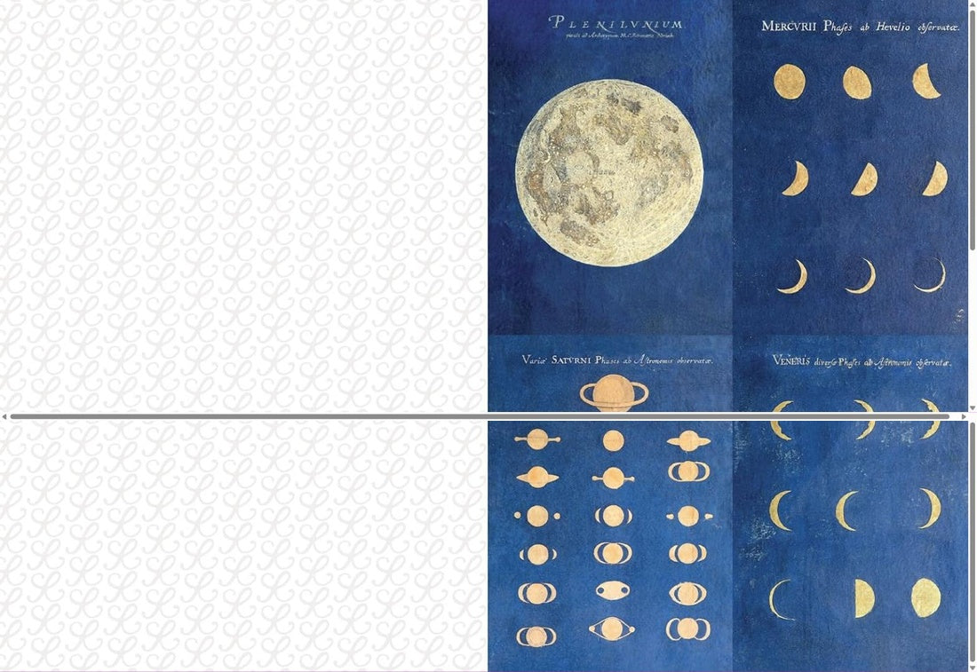 THE COLLAGE COMPENDIUM
