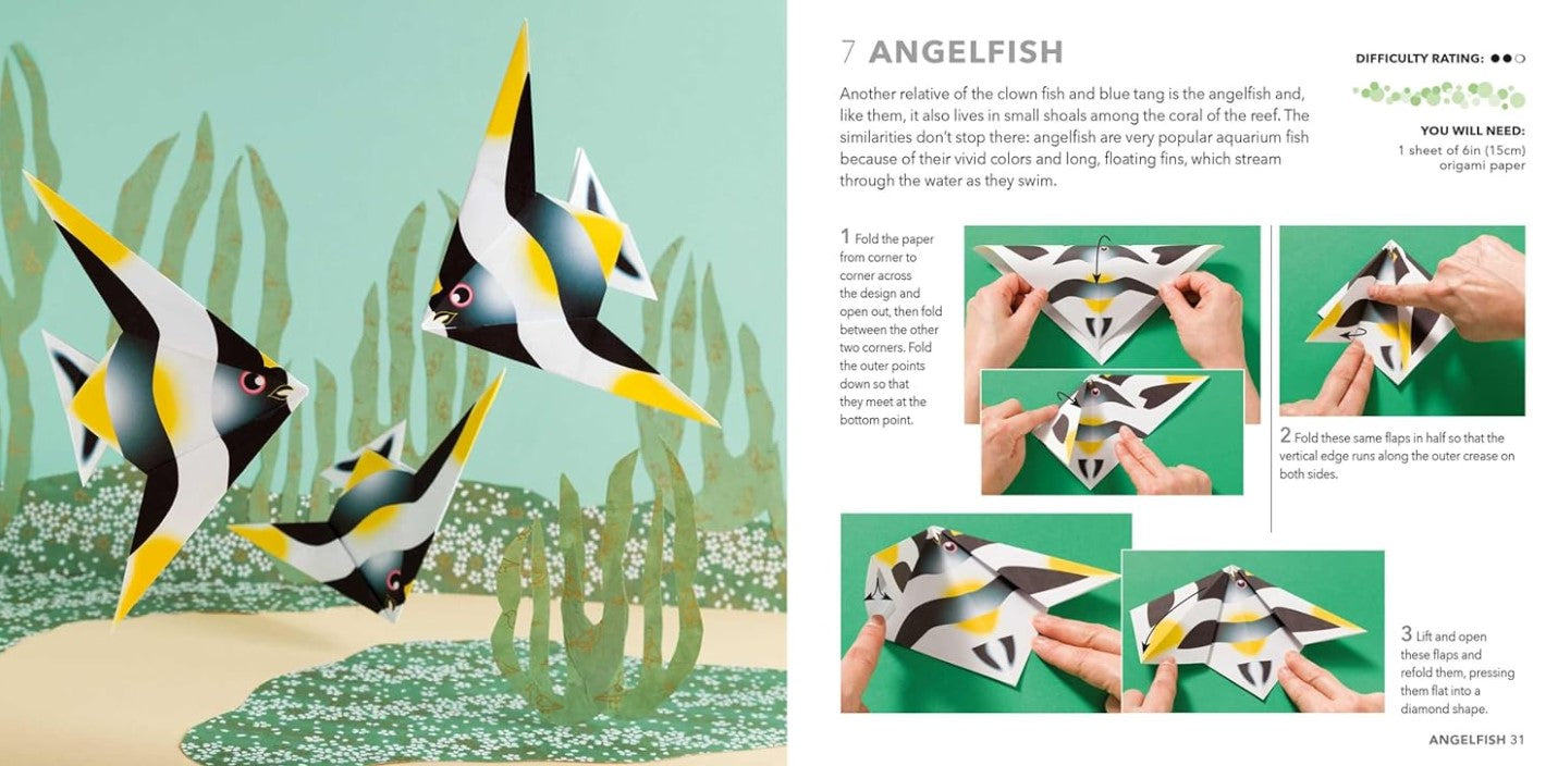 Product image for B9781800653658