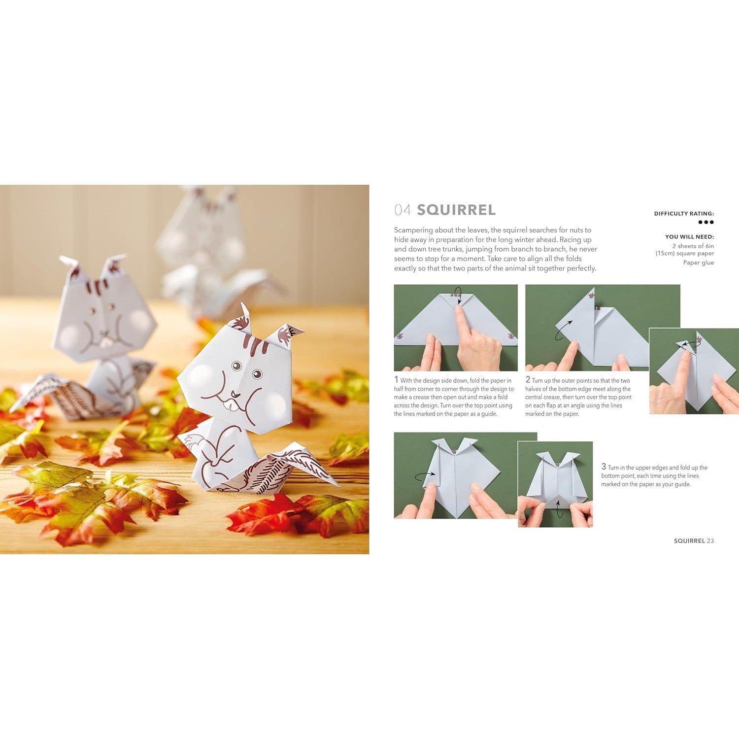 NATURE ORIGAMI: PAPER BLOCK PLUS 64-PAGE BOOK