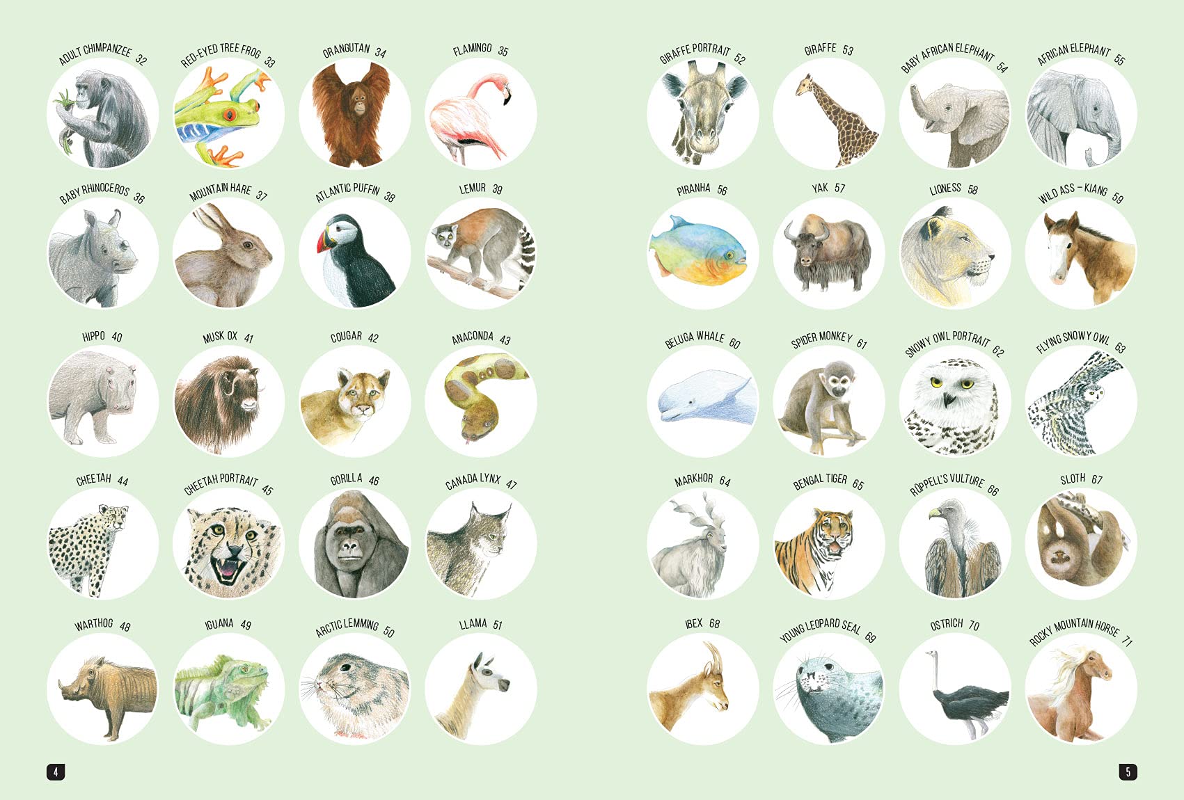 Product image for B9781800920354