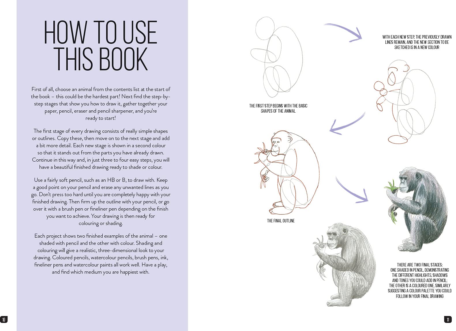 Product image for B9781800920354