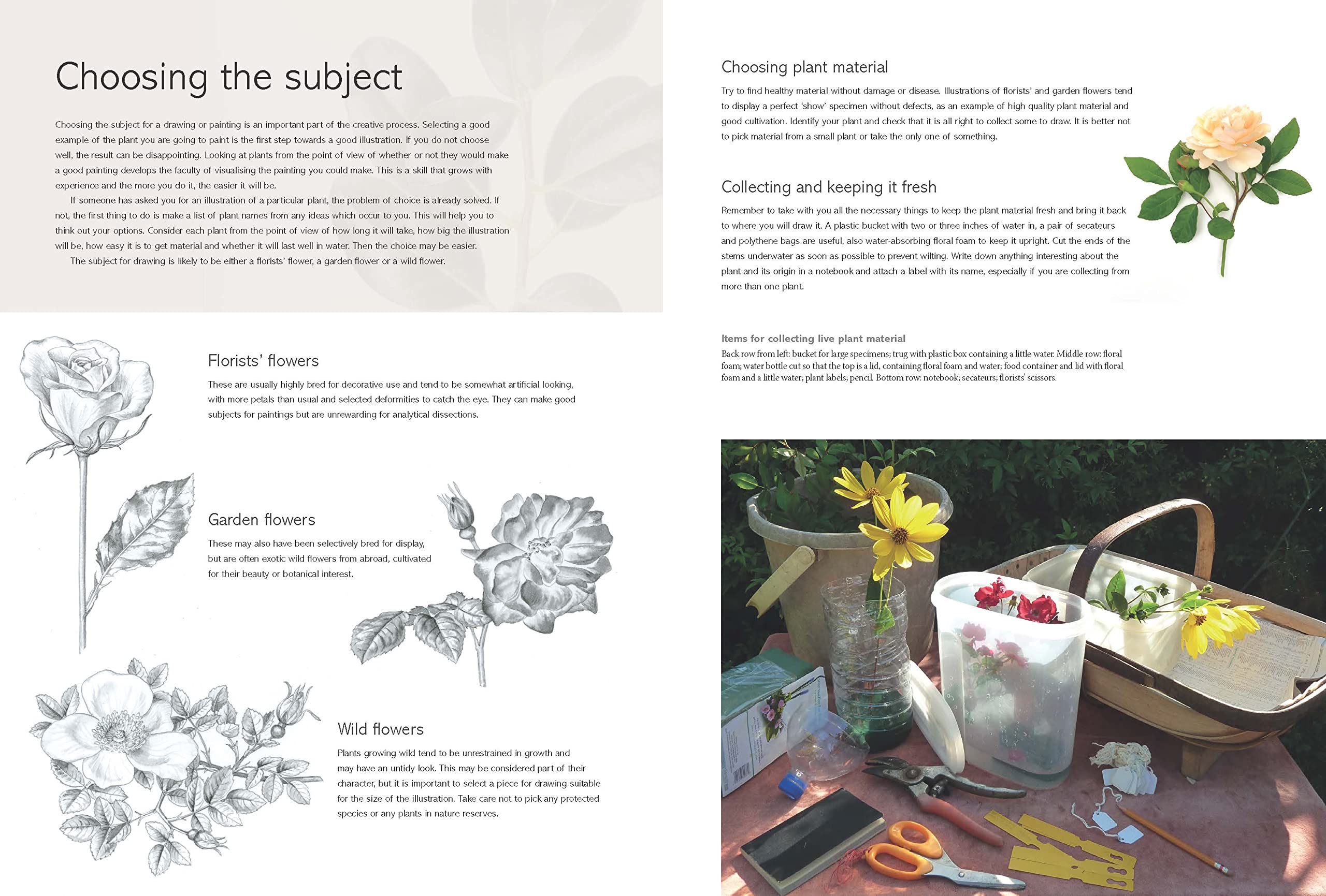 Product image for B9781800920910