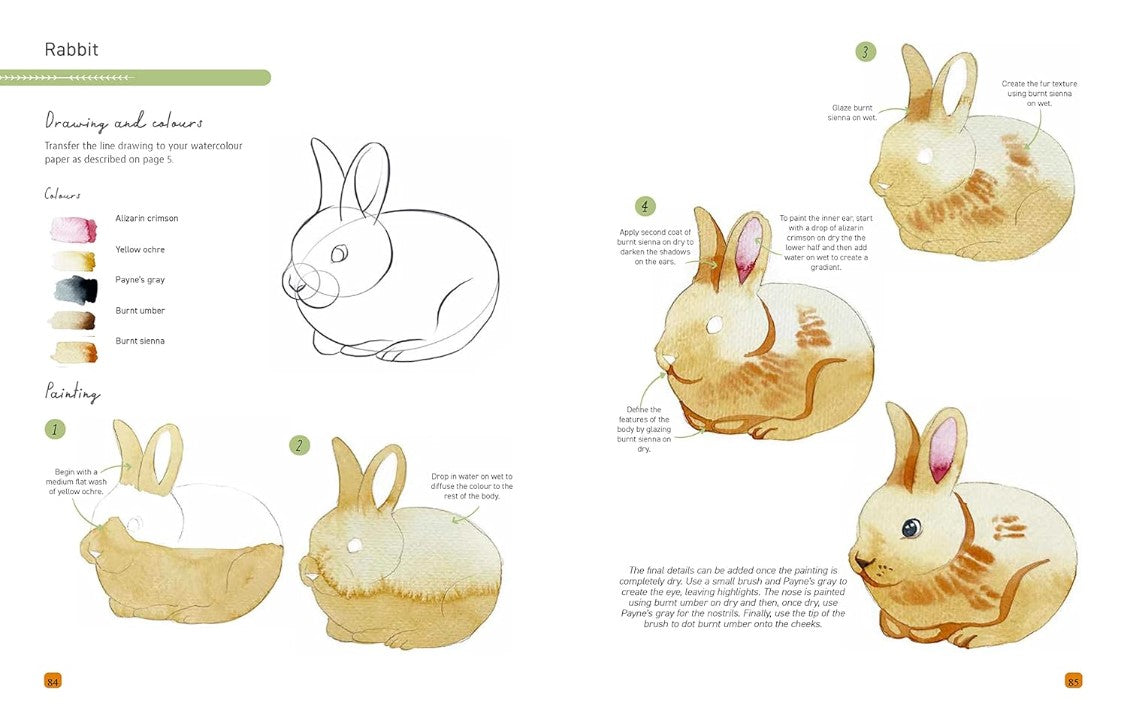 Product image for B9781800921283