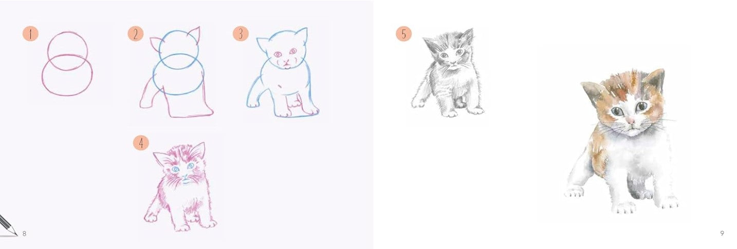 Product image for B9781800921832