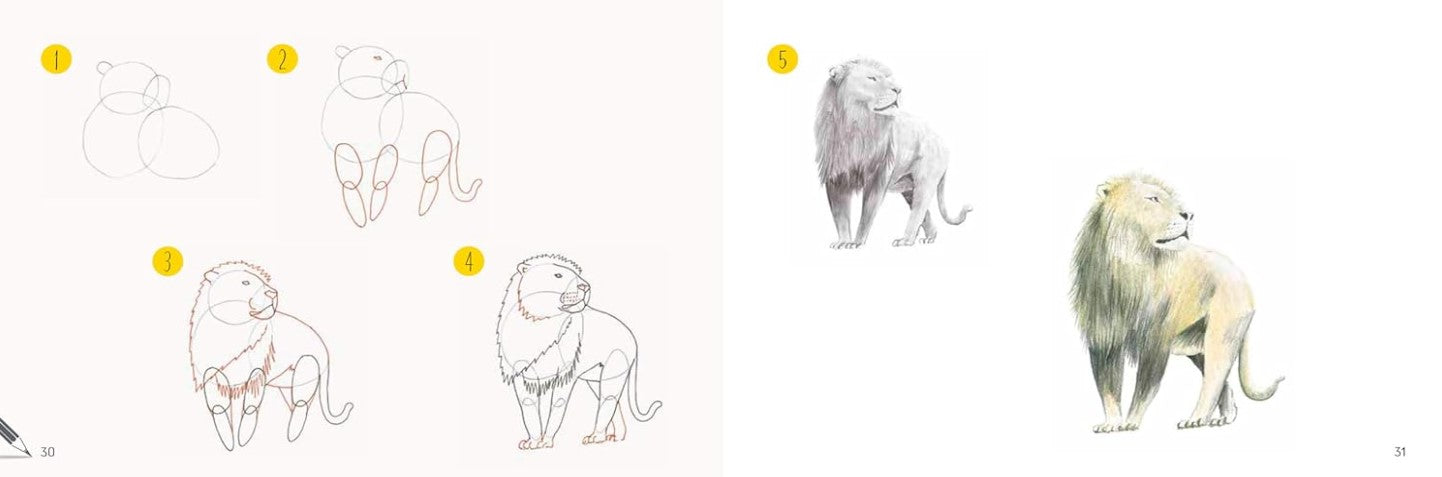 Product image for B9781800921832