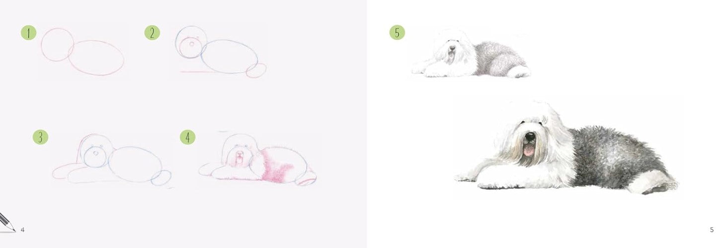 Draw Dobs DRAW 30 DOGS IN EASY STEPS – Gordon Harris - The Art & Graphic Store
