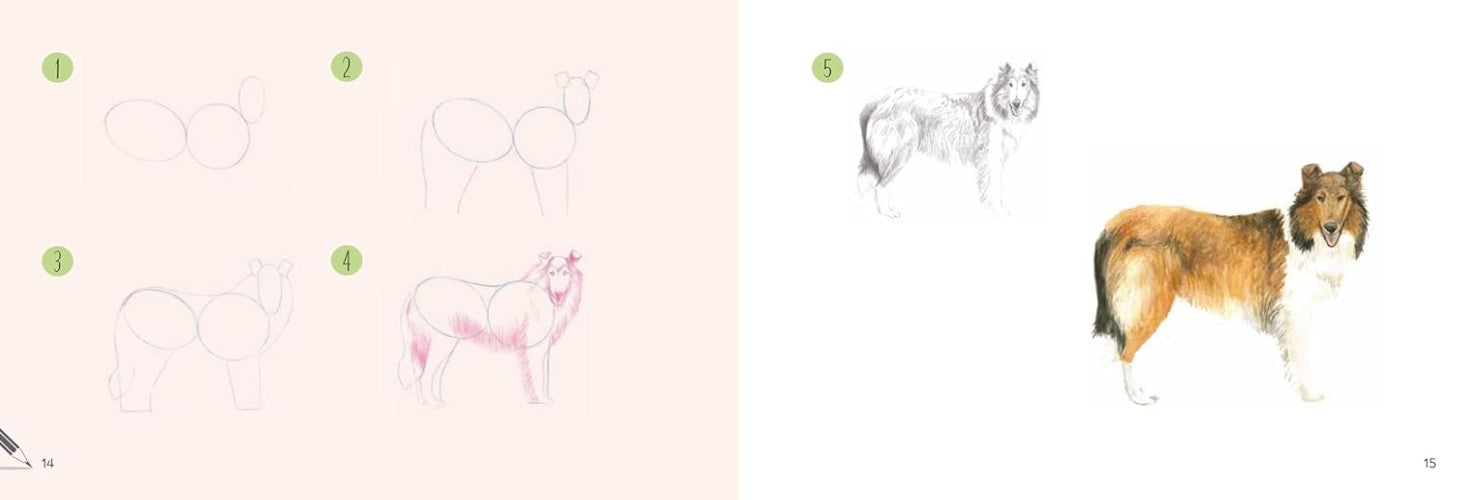 Product image for B9781800921849