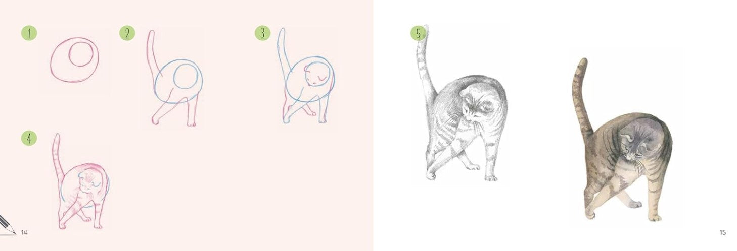 Product image for B9781800921863