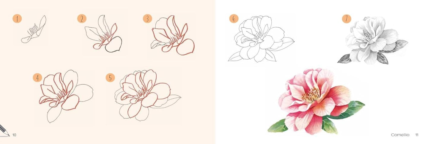 Product image for B9781800921870