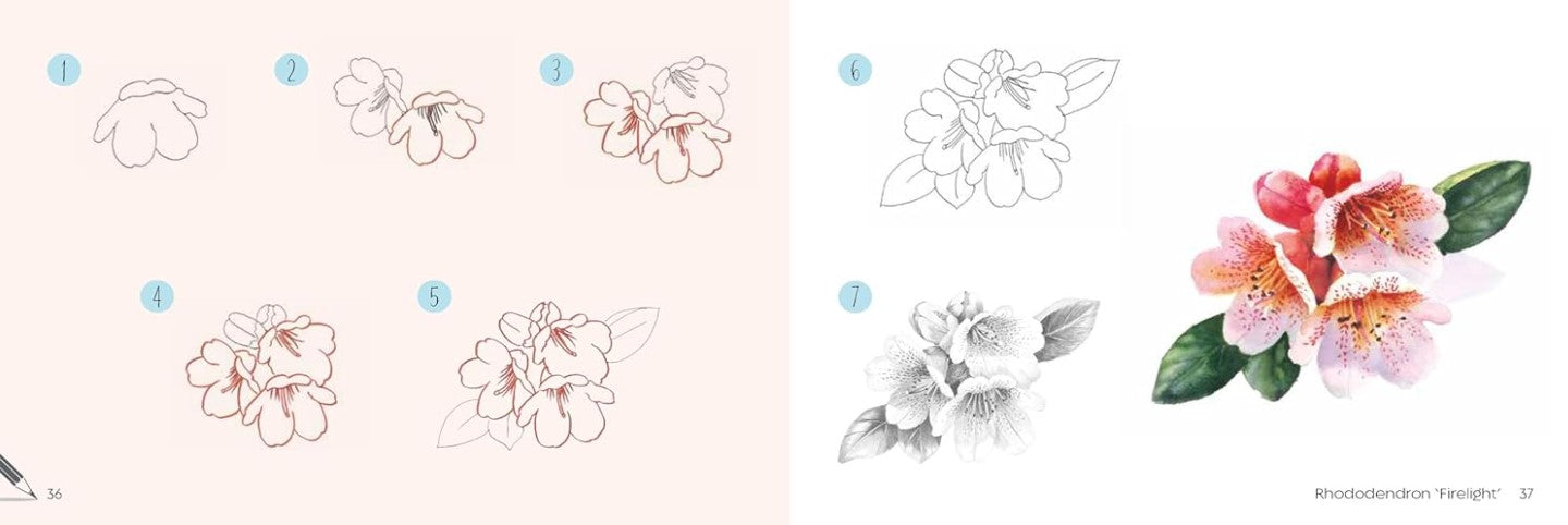 Product image for B9781800921870