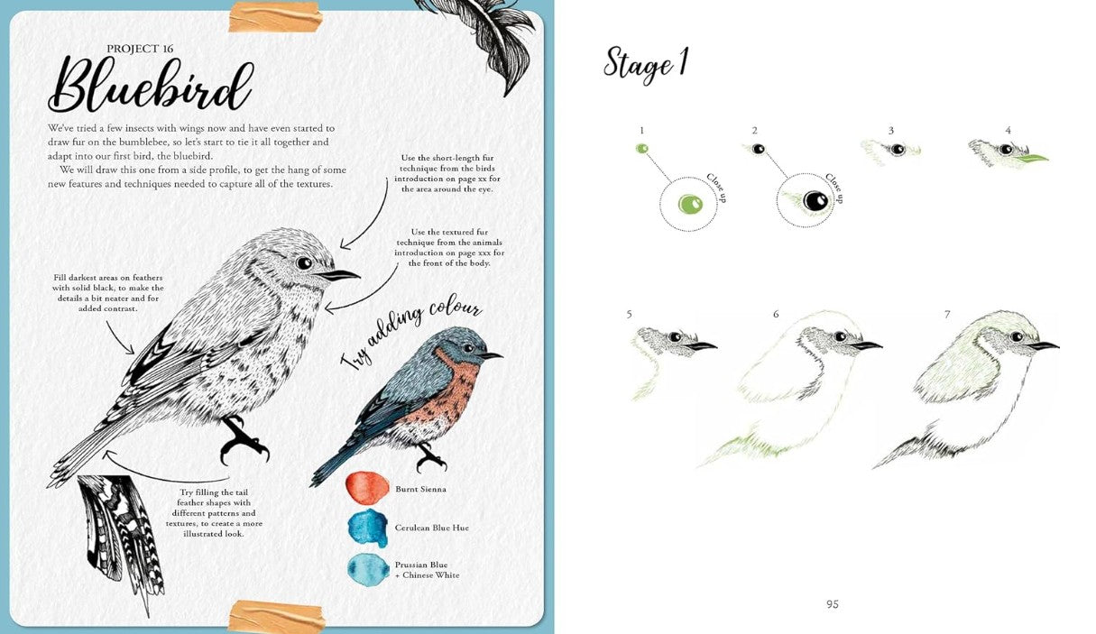 Product image for B9781800922341