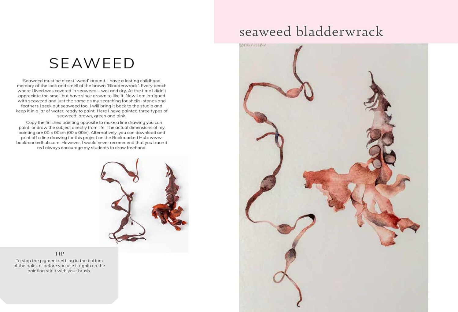 Product image for B9781800922457