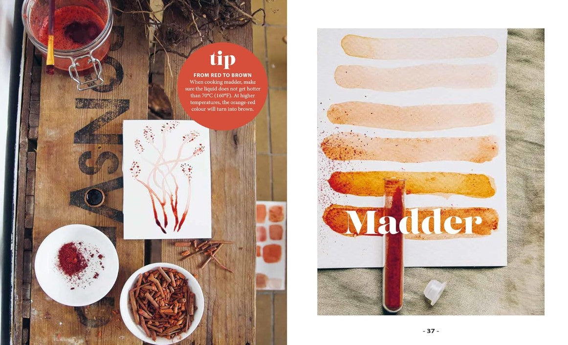 Product image for B9781800923102