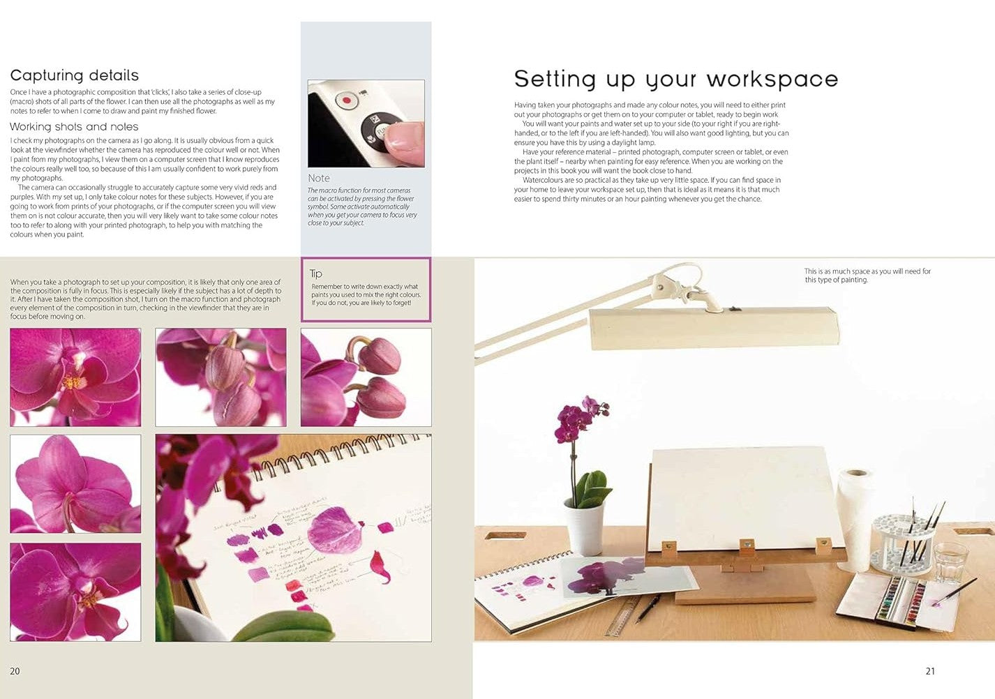 Product image for B9781800923621